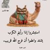 mahmoudrefaat5288