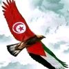 safa01376