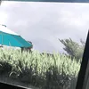 m4z4aaa