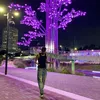 bruno.flores3
