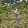 yulianaastutik268
