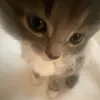 ptmy212