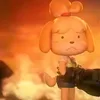 casz2024