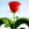 user3198564014353