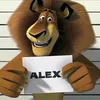 alexdocentralpark