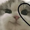akuu0312