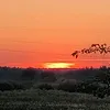 rytas_top