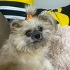 elle_babymochi