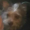 imregodny