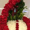user5321679061373