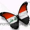 userid09a5gvup