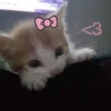 emfee8