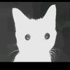 silly_cat780