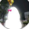 farzana1568