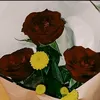 crzybtyflyou_