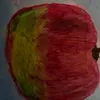 concisa.pantilgan