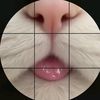 gmmj_x0