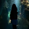 dipikaaa_00
