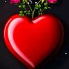 zia.ullah9853