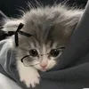 katok_tiktok_oficall