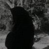 rasidaaiyah5