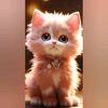 dr.fatima075