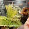 anna_i685