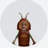 sono_un_blatto