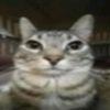 youssifmohiy946