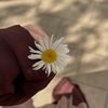 ayat_mostafa123