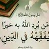 user8472474098252