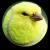 tennisball78