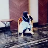 r_nia06