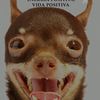 andresperez92376