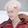 rhy_cap801
