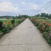 coganghetsucmasong