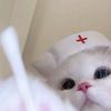 onnifyou