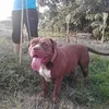 user0lbdghghgc