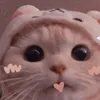 mochi_qween1234