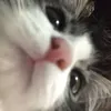 _hiigwyh.itk