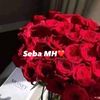 sebamh5