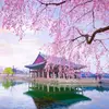 jamila_6060