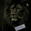 mrohail777