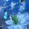 myat3lob6kcl3