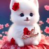 fariha.jahan.mim58