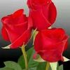 user5078025771434