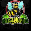 busybuds1