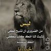 user8565776038448