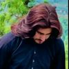 rahmatafridi10