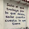 user8207981390523